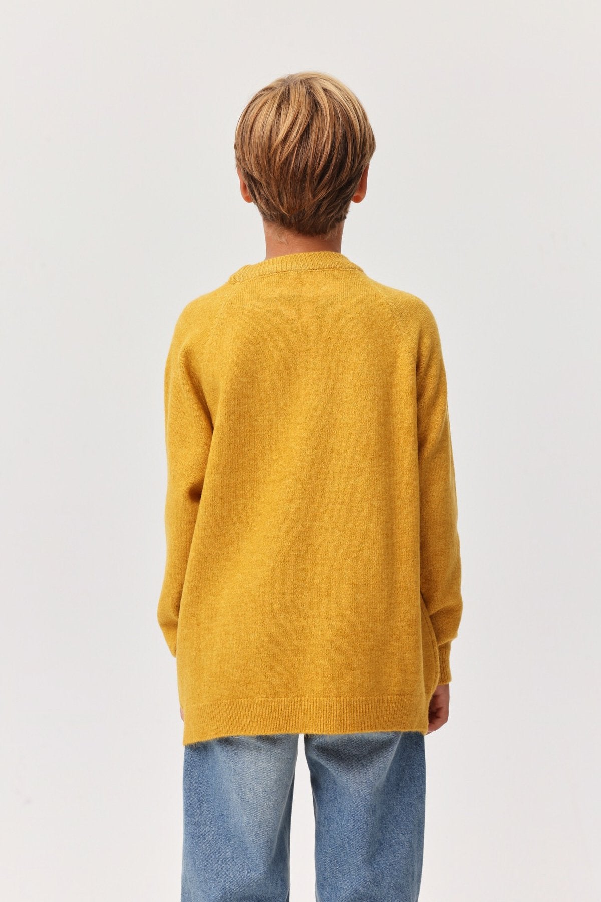 Erkek Çocuk Yuvarlak Yaka Örgü Kazak