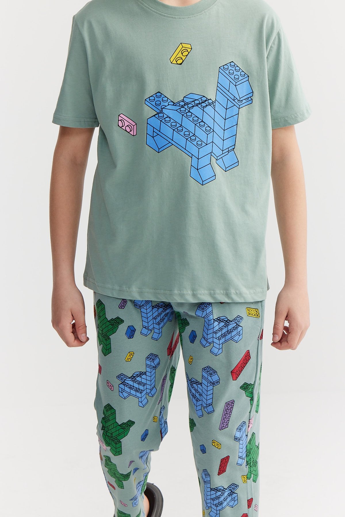 Erkek Çocuk Baskılı Detaylı Pijama Takımı
